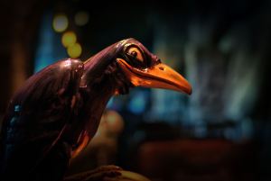 Cuervo Jacobo Osadias Ponche Deseos